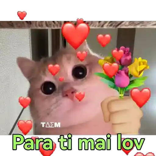 Çıkartma