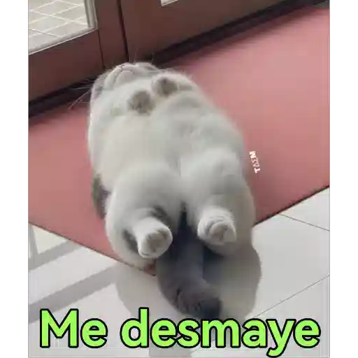 Налепница