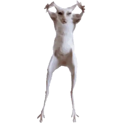 Naljepnica