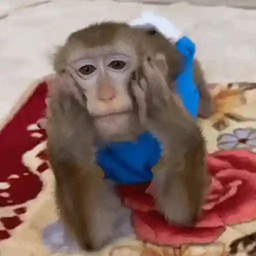 استیکر