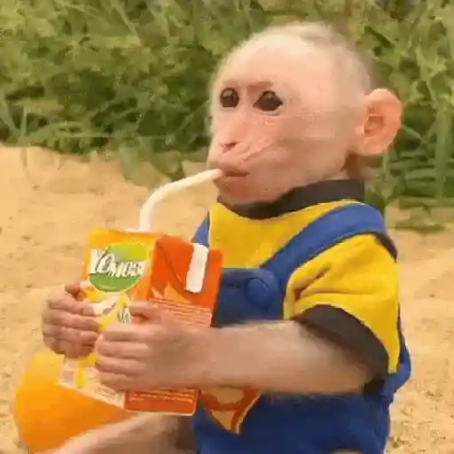 استیکر