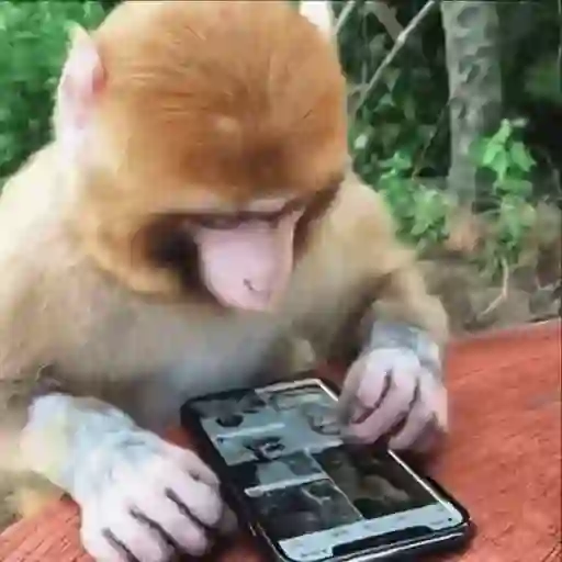 استیکر