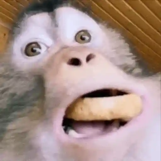 استیکر