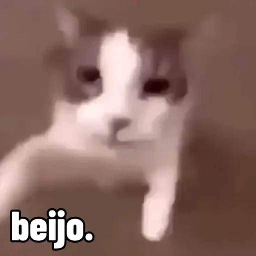 Naklejka