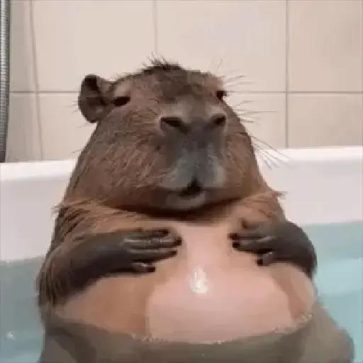 استیکر
