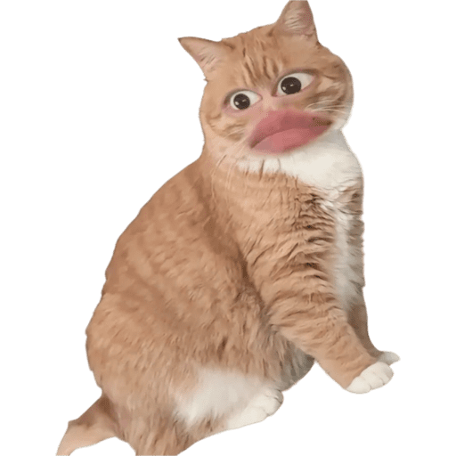 Naklejka