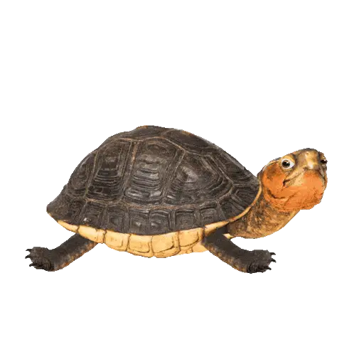 Klistermärke