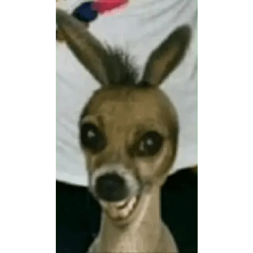 Klistermärke