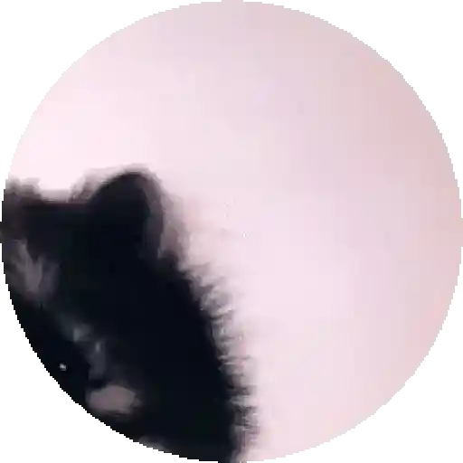 স্টিকার