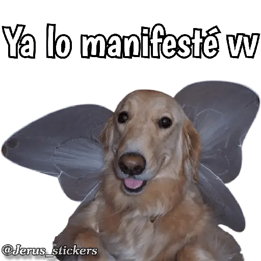 Naljepnica