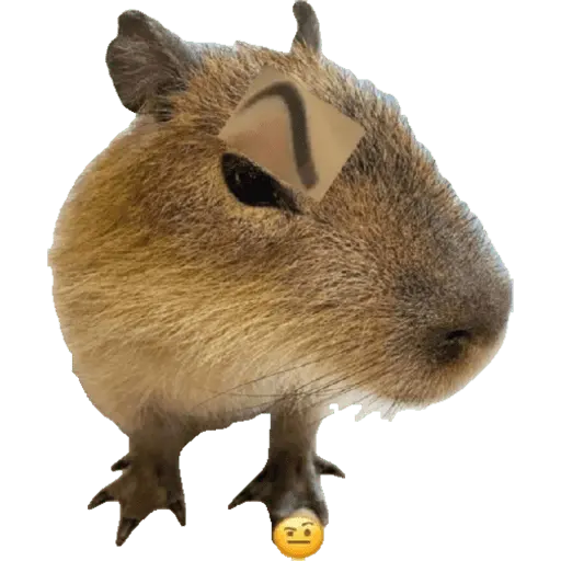 Nhãn dán