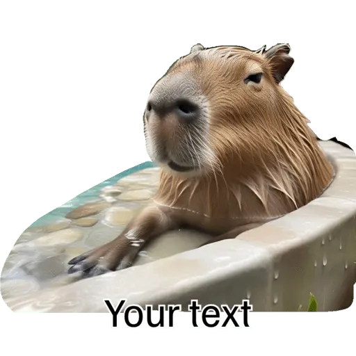 Nhãn dán