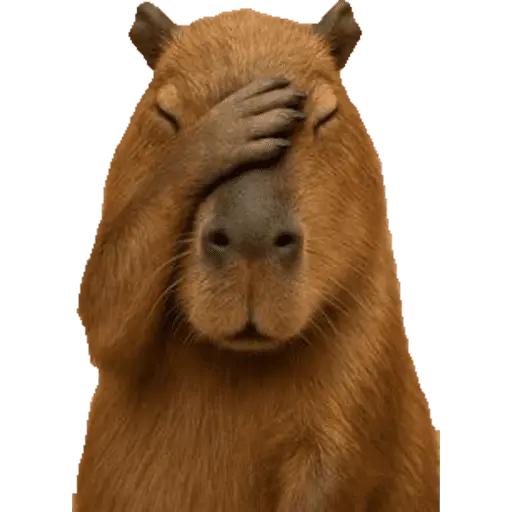Nhãn dán