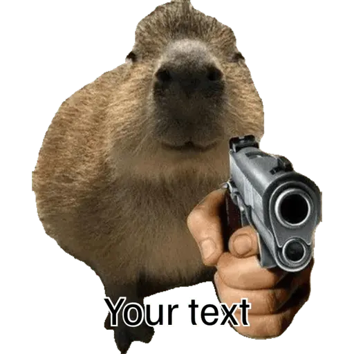 Nhãn dán