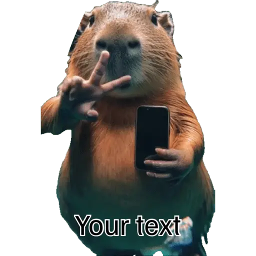 Nhãn dán