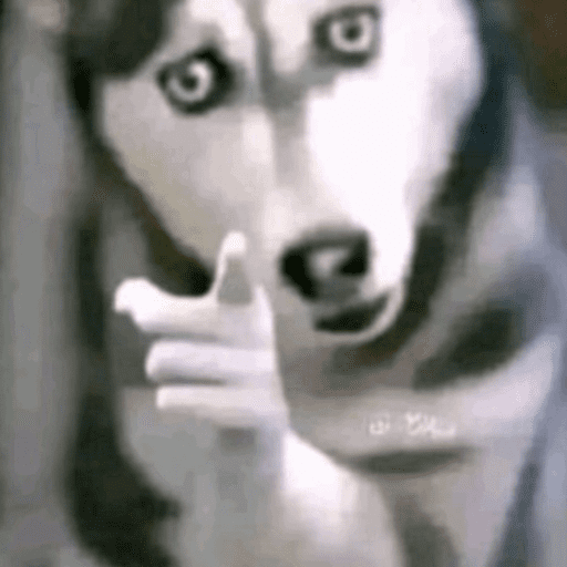 Nhãn dán