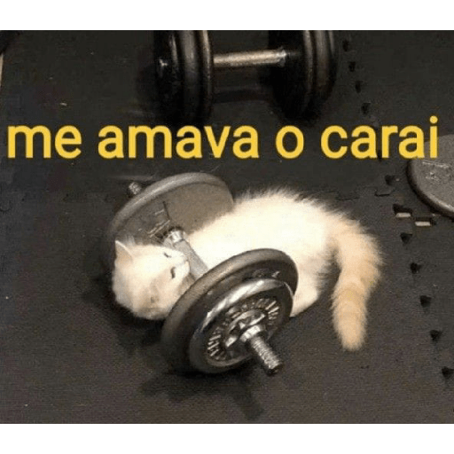 מדבקה