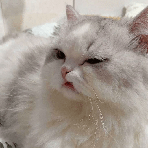 ملصق
